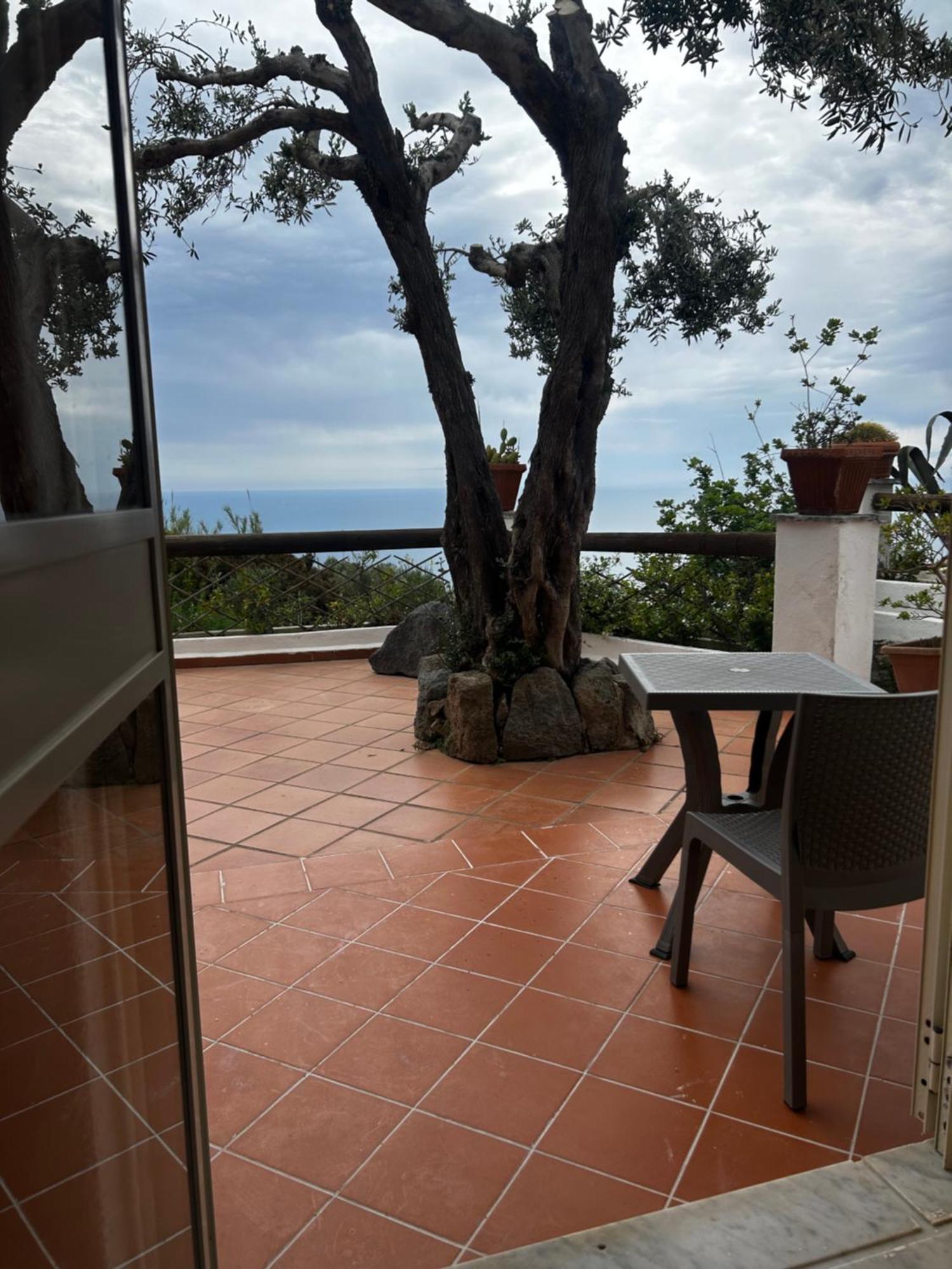 Hotel Punto Azzurro Forio  ภายนอก รูปภาพ